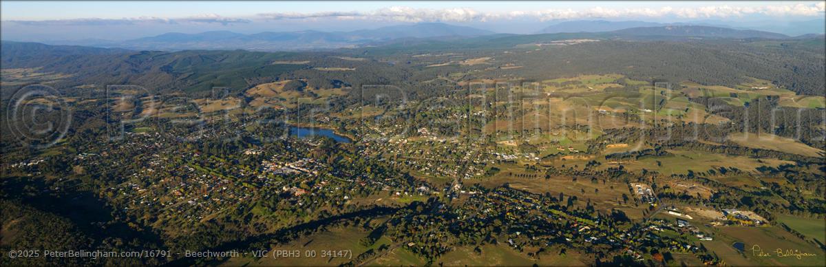 Peter Bellingham Photography Beechworth - VIC (PBH3 00 34147)